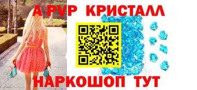 шишки Новокубанск