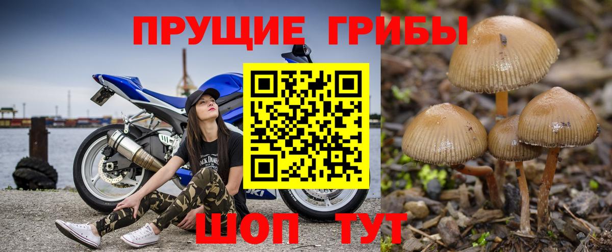 Галлюциногенные грибы мицелий  Галлюциногенные грибы ЛСД  Вход с VPN  Феодосия 