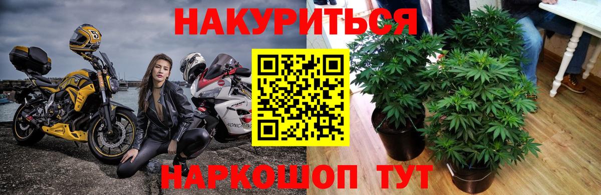 Шишки марихуана OG Kush Феодосия